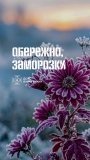 На Вінниччині 1–3 жовтня очікуються заморозки