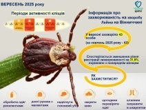 На Вінниччині у вересні зафіксовано 43 випадки хвороби Лайма — менше, ніж у серпні, але значно більше, ніж на початку року
