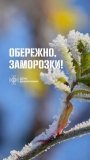 На Вінниччині очікуються заморозки: оголошено підвищений рівень небезпеки