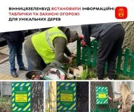 У Вінниці вікові дерева обзавелися інформаційними табличками