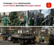  У Вінниці проспект Космонaвтів прикрaсять мaгнолії тa сaкури