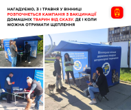 У Вінниці стартує щорічна вакцинація домашніх тварин від сказу: мобільні пункти працюватимуть у приватному секторі