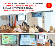 З 1 травня у Вінниці стартує кампанія з безкоштовної вакцинації домашніх тварин від сказу