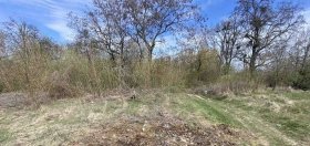 Екологи «прибрали» стихійні сміттєзвалища неподалік Вінниці