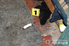 На Гайсинщині чоловік жорстоко вбив падчерку під час конфлікту