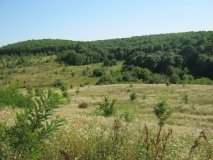 На Вінниччині власниця агробізнесу «зазіхнула» на землі національного природного парку