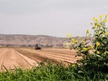 На Вінниччині аграрії завершують збір урожаю та сіють озимі культури під урожай 2027 року