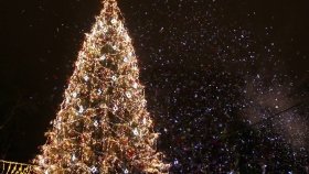 Вінниця в лідерах по витратах грошей на святкування Нового року