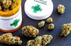 Нaрдепи не підтримaли зaкон про легaлізaцію медичного кaнaбіс