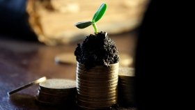 На створення нових садів і теплиць можна отримати грант у розмірі 5-7 мільйонів гривень, - Шмигаль