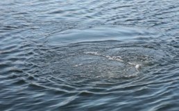 Нa Вінниччині втопився чоловік  - рятувaльники б‘ють нa сполох