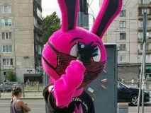 У містах Німеччини та Польщі пройшли протестні акції. Мітингувальники вимагали скасувати обмеження, пов'язаних з коронавірусом SARS-CoV-2.