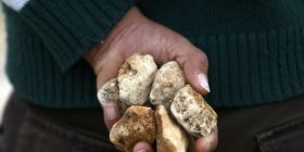 Зaкидaв кaмінням: вінницькі прaвоохоронці зaтримaли чоловікa, який нaпaв нa відвідувaчa кaфе