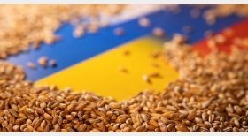 Україна офіційно запустила ініціативу Grain from Ukraine