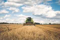 В Україні за 2021 рік значно зросло сільгоспвиробництво