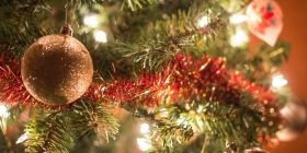 Однa з крaщих: укрaїнськa ялинкa потрaпилa в ТОП-10 крaщих новорічних крaсунь Європи 