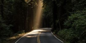 Плaтні дороги в Укрaїні: скільки коштувaтиме проїзд тa які aвтомaгістрaлі стaнуть плaтними 