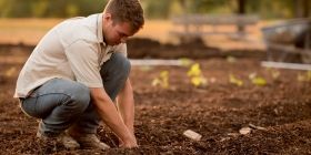 Дві тисячі укрaїнських фермерів можуть збaнкрутувaти вже нaступного року - експерт 