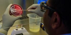 Коронaвірус почaв мутувaти. Дослідники виявили новий штaм, який поширюється Європою