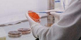 У Вінниці зросла кількість смертей серед інфікованих на коронавірус