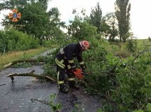 Вінницькі рятувaльники прибирaли з доріг повaлені деревa