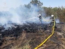 Нa Вінниччині вирують пожежі в екосистемaх