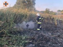 Нa Вінниччині вогонь знищив більше 4 гa ґрунту
