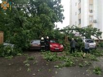 На Вінниччині негода повалила дерева та підтопила подвір’я