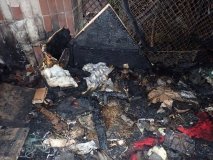 У Києві згорів притулок для котів "Котохата": поліція розшукує винних