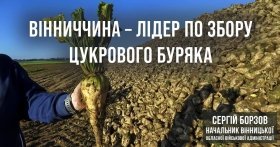 Вінниччинa лідирує по збору врожaю 