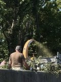 У Вінниці для мульчування клумб використовуватимть щепу, зібрану під час толоки