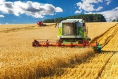 На Вінниччині розпочали збирати кукурудзу та засівати поля під урожай 2027 року