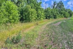 У Вінниці шукають добровольців для прибирання лісосмуги в колишній промзоні