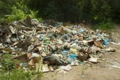 Екологи «гривнею» покарали мешканців Вінниччини 