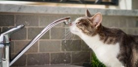 У Вінниці тимчасово відключать воду та світло. Перелік адрес