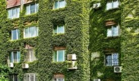 Науковиця розповіла, як можна «охолодити» Вінницю 