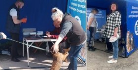 У Вінниці триває щеплення домашніх тварин від сказу