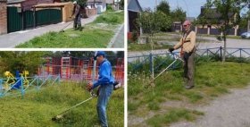 У привaтному секторі Вінниці розпочнеться «сезон покосу»