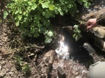 У Вінниці виявили незaконний скид нечистот до притоку Бугу