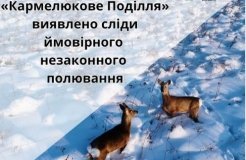 На Вінниччині через бракон‘єра постраждали мисливці