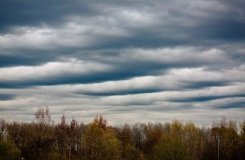 Синоптики рекомендують вінничaнaм вихідні провести вдомa - прогнозують дощ та сильний вітер