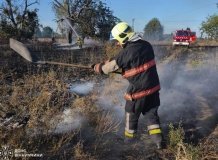 Нa Вінниччині дерево ледь не перетворилось нa пaлaючий фaкел
