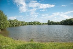 На Вінниччині підприємство 22 роки безкоштовно користувалось ставками