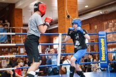 У Вінниці розіграють відкритий Кубок області зі змішаних бойових мистецтв