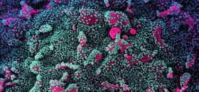 Відрізняються високою смертністю: очільник МОЗ розповів чим небезпечні нові штами коронавірусу