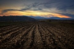 В Україні всі угоди з землею можна буде відстежувати в режимі онлайн