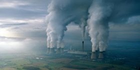 Вчені розповіли як пандемія коронавірусу вплинула на екологію 