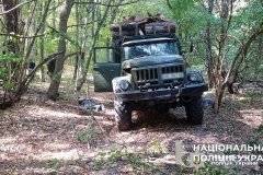 Поліція викрила «чорних лісорубів», які нищили ліси Кармелюкового Поділля