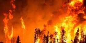 На Вінниччині невідомий навідався до обійстя старого і підпалив солому