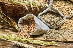 Понад 12 мільйонів тонн збіжжя експортовано «зерновим коридором»